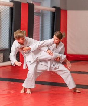 Insane / Кимоно для карате START, хлопок, белый