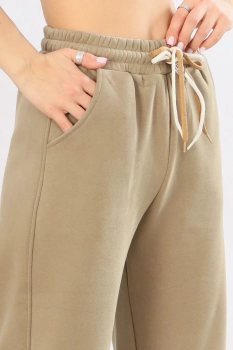 Айли / Брюки утепленные  / джоггеры