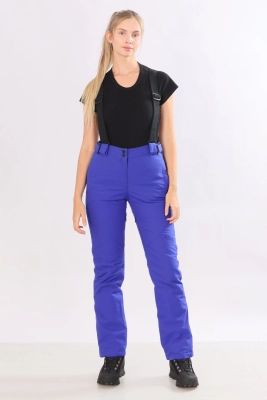 Брюки горнолыжные (021613571712utorvjsm1701820800-14.jpg)