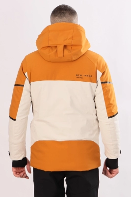 (031164212379pnheotgu1698710400-4.jpg)