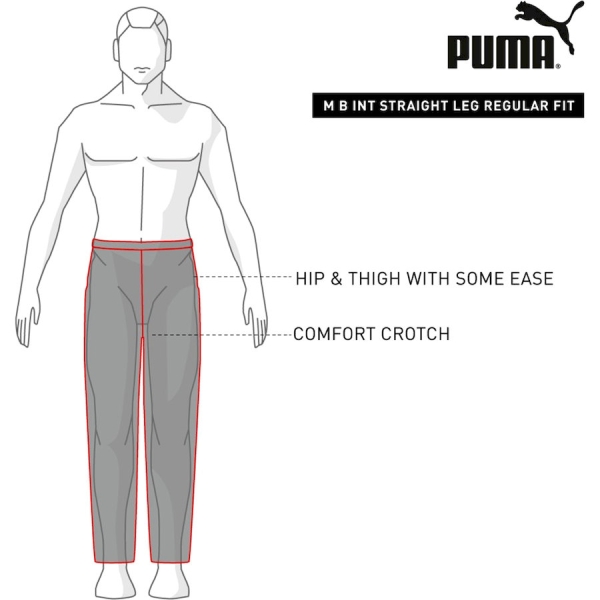 Puma / Брюки спортивные Essentials Logo Men's Sweatpants TR op 586720_03