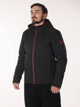 Куртка демисезонная (03hrpgpfcm20250807-21.jpg)