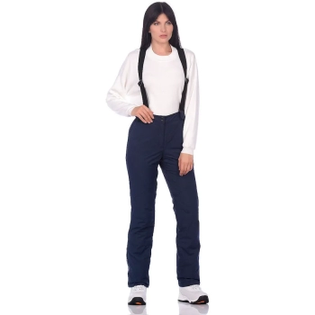 High Experience / Брюки горнолыжные  / сноубордические High Experience / Брюки горнолыжные  / сноубордические