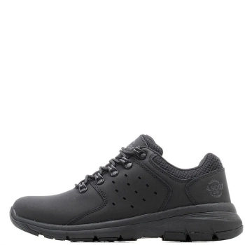 Ascot / Полуботинки Survivor Low