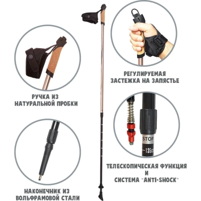 RGX / Палки для скандинавской ходьбы, двухсекционные.