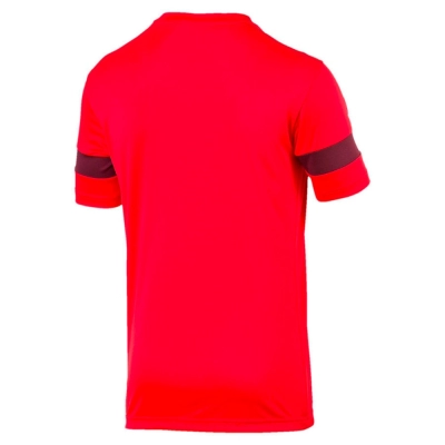 Puma / Футболка спортивная ftblPLAY Logo Tee