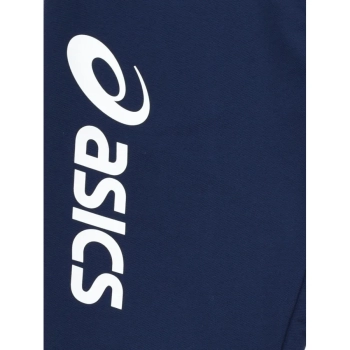 Asics / Брюки спортивные Sigma