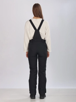 High Experience / Брюки горнолыжные  / сноубордические High Experience / Брюки горнолыжные  / сноубордические