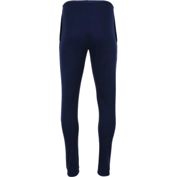 Asics / Брюки спортивные Sigma