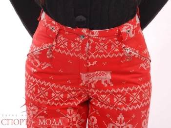 Stayer / Брюки горнолыжные Stayer