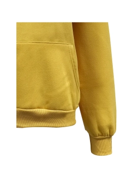 Айли / Толстовка \ Худи утепленное