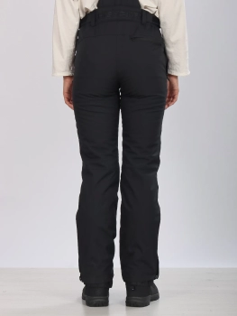 High Experience / Брюки горнолыжные  / сноубордические High Experience / Брюки горнолыжные  / сноубордические