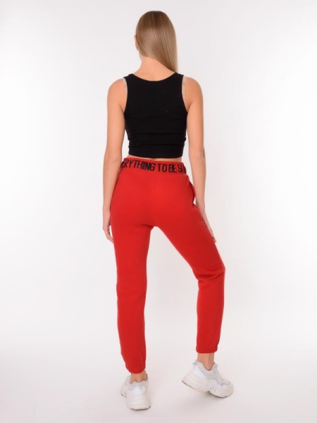 Chic and Charisma / Брюки спортивные 00468