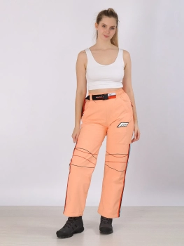 Free Cover / Брюки горнолыжные  / сноубордические