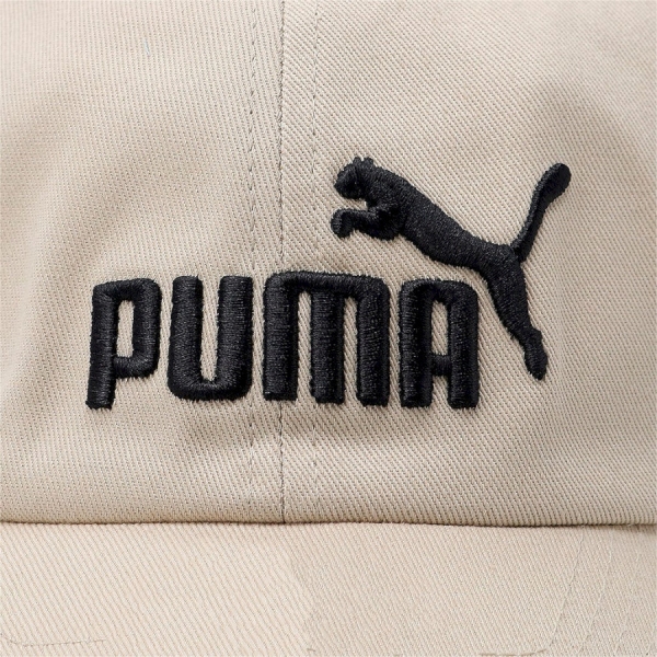 Puma / Бейсболка ESS Cap 022416_82