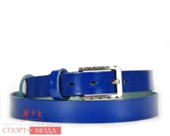 Бренд не указан / Ремень Бренд не указан / Ремень