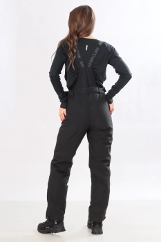 Master Class / Полукомбинезон / брюки утепленные Master Class / Полукомбинезон / брюки утепленные