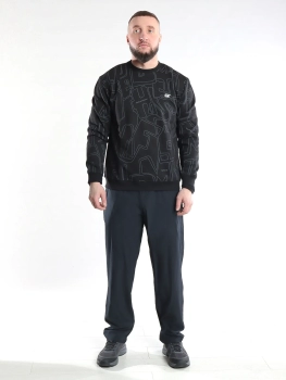 Master Class / Брюки / трико мужские 