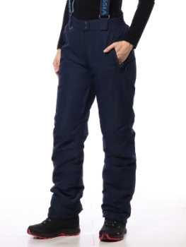 Master Class / Полукомбинезон / брюки утепленные Master Class / Полукомбинезон / брюки утепленные