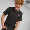 Puma / Футболка EVOSTRIPE Tee 67318701