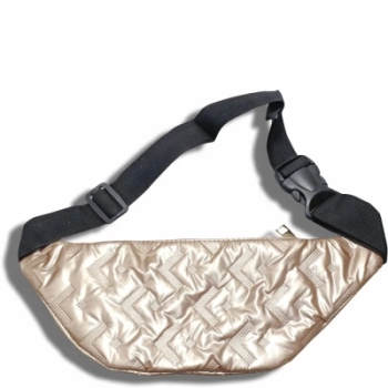 22-LMC-YB8638C, бронза сумка поясная