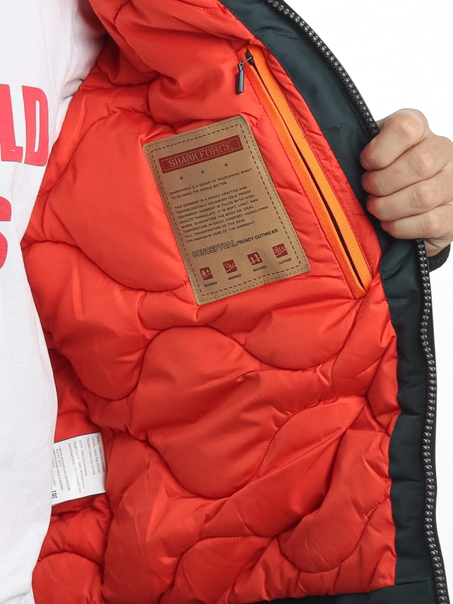 Shark Force / Куртка утепленная