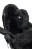Ulet / Ботинки MON_3213-5