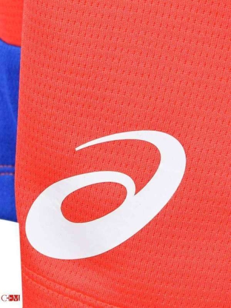 Asics / Шорты спортивные Man Russia Short 156870-23RU