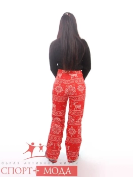 Stayer / Брюки горнолыжные Stayer