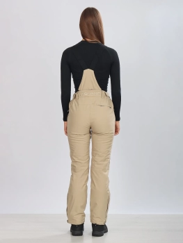 High Experience / Брюки горнолыжные  / сноубордические