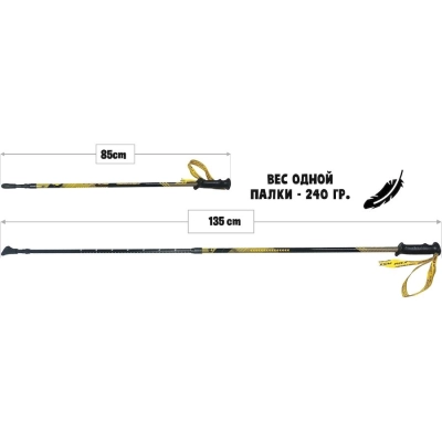 RGX / Палки для скандинавской ходьбы, двухсекционные.