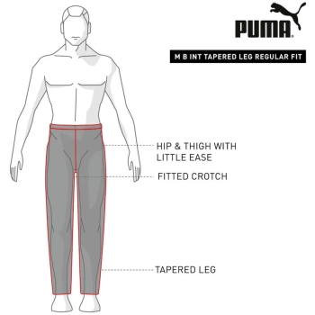 Puma / Брюки спортивные Active Woven Pants CL