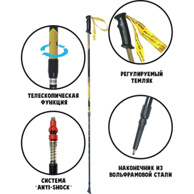 RGX / Палки для скандинавской ходьбы, двухсекционные.