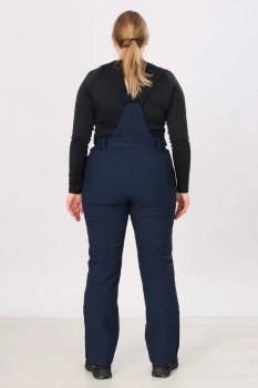 High Experience / Брюки горнолыжные  / сноубордические