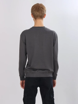 SAZ / Свитшот из хлопка SAZ / Свитшот из хлопка