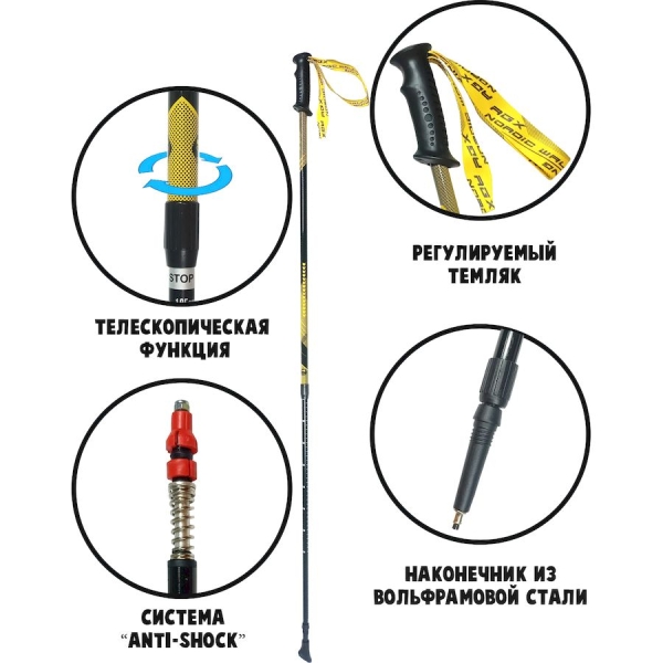 RGX / Палки для скандинавской ходьбы, двухсекционные. NWS-120