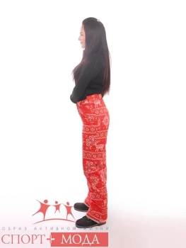 Stayer / Брюки горнолыжные Stayer