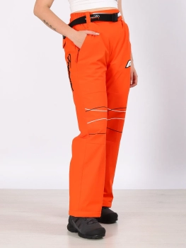 Free Cover / Брюки горнолыжные  / сноубордические