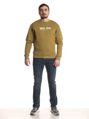 Свитшот повседневный хлопок (020070730453xxyutevh1745099937-31.jpg)