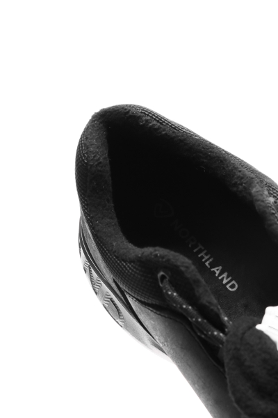 Northland / Ботинки мужские утепленные Tweng Low Ltr 118002-99