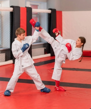 Insane / Кимоно для карате START, хлопок, белый Insane / Кимоно для карате START, хлопок, белый