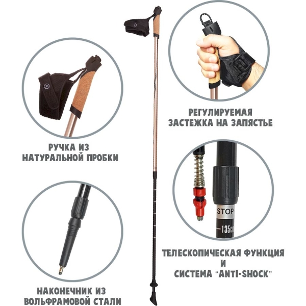 RGX / Палки для скандинавской ходьбы, двухсекционные. NWS-103A