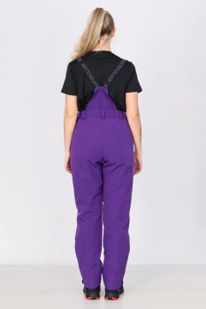 Master Class / Полукомбинезон / брюки утепленные Master Class / Полукомбинезон / брюки утепленные