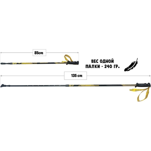 RGX / Палки для скандинавской ходьбы, двухсекционные. NWS-120