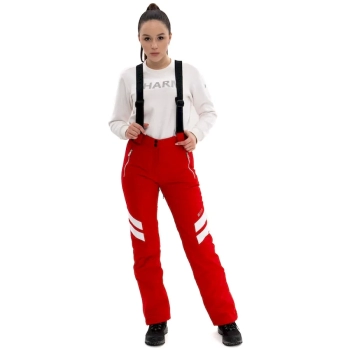 High Experience / Брюки горнолыжные  / сноубордические High Experience / Брюки горнолыжные  / сноубордические