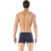 Speedo / Плавки купальные Classic Aquashort 8-007327780-7780