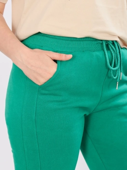 Айли / Брюки утепленные  / джоггеры