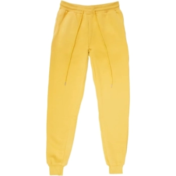 Айли / Брюки утепленные  / джоггеры Айли / Брюки утепленные  / джоггеры