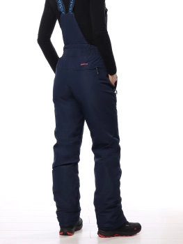 Master Class / Полукомбинезон / брюки утепленные Master Class / Полукомбинезон / брюки утепленные