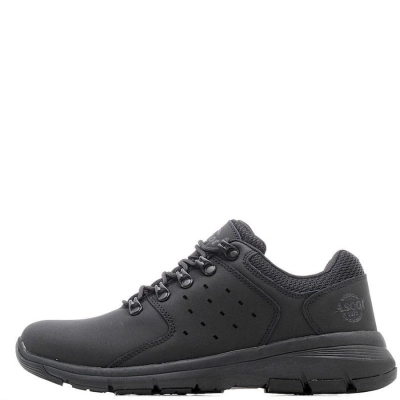 Ascot / Полуботинки Survivor Low